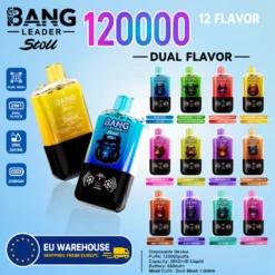 Bang Leader 120000 Puffs 2-in-1 Vape – Mesh Coil, Type-C, EU